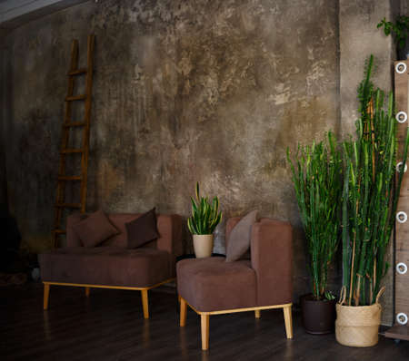 sitting area with brown sofas and pots of juicy greeneryの写真素材