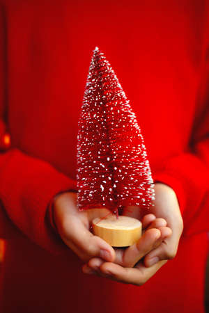 small christmas tree in the hands of a child on a red backgroundの写真素材