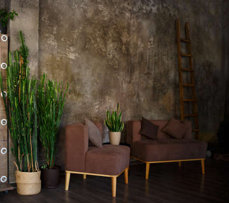 sitting area with brown sofas and pots of juicy greenery.の写真素材