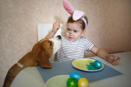 little cute blue-eyed girl and beagle puppy paint easter eggs.