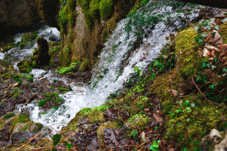 rapids of the waterfall surrounded by moss and trees.の写真素材