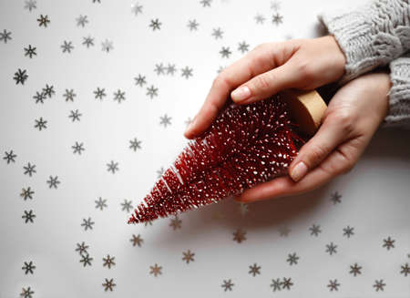 beautiful female hands holding a small red christmas tree on a gray background. View from aboveの写真素材