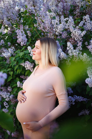 young pregnant woman tenderly hugs her belly surrounded by lilac flowers.の写真素材