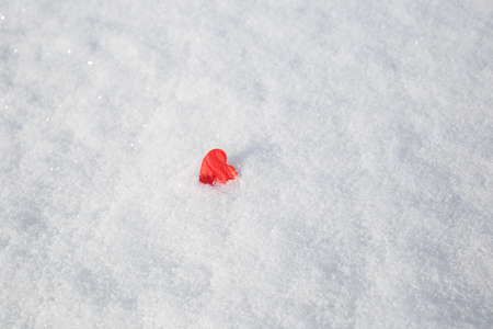 valentine's day concept. red heart in the snow.の写真素材