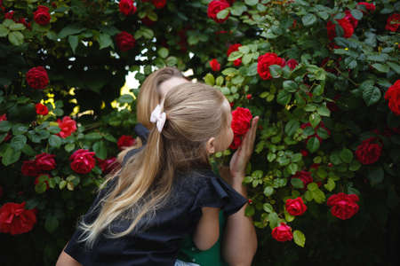 family portrait. mom hugs and kisses her little daughter against the background of a rose bush.の写真素材