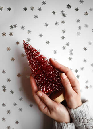 beautiful female hands holding a small red christmas tree on a gray background. View from above.の写真素材