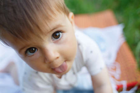 little cute baby sits on a blanket in the park on a green lawn.の写真素材