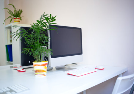 a cozy workplace in a coworking space with a computer and a flower in a pot.の写真素材