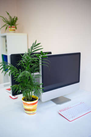 a cozy workplace in a coworking space with a computer and a flower in a pot.