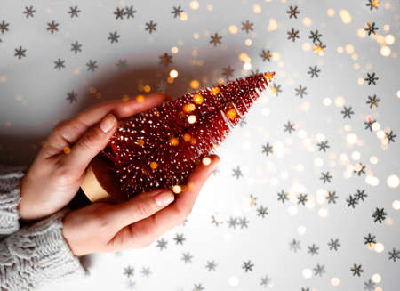 beautiful female hands holding a small red christmas tree on a gray background. View from above.の写真素材