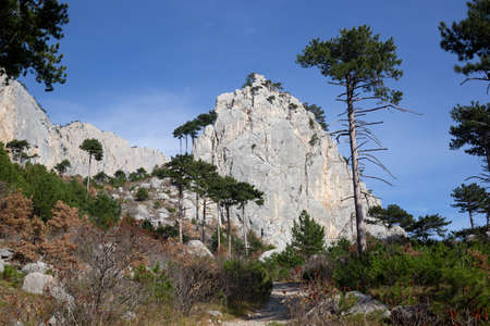 view of the mountains surrounded by coniferous and deciduous trees.の写真素材