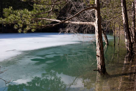 view of a mountain lake surrounded by bushes and trees in autumnの写真素材