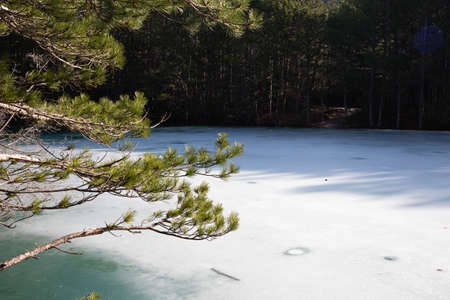 view of a mountain lake surrounded by bushes and trees in autumnの写真素材
