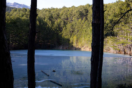 view of a mountain lake surrounded by bushes and trees in autumnの写真素材