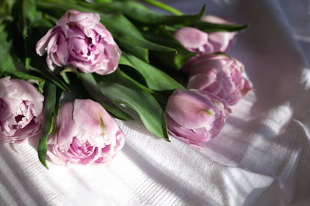 a bouquet of beautiful delicate fresh lilac tulips lies on a white fabric.の写真素材