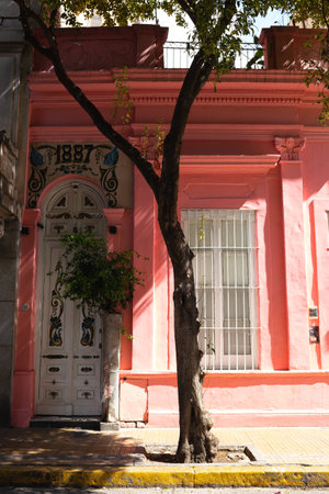 view of the facade of a beautiful pink one-story old building surrounded by treesの写真素材