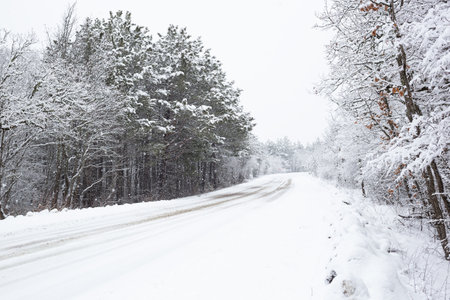 beautiful snow landscape: car road through the forest.の写真素材