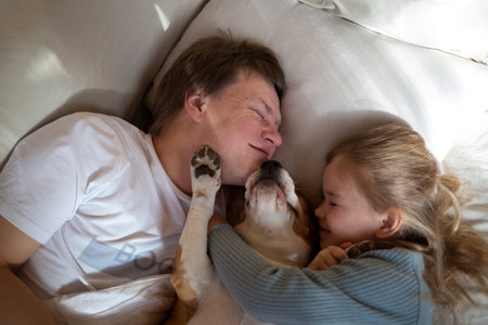 little cute girl hugging her dad and beagle dog while lying in bedの写真素材