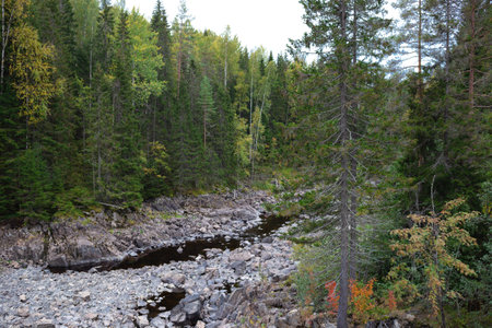 beautiful autumn landscape. lake view surrounded by forest.の写真素材