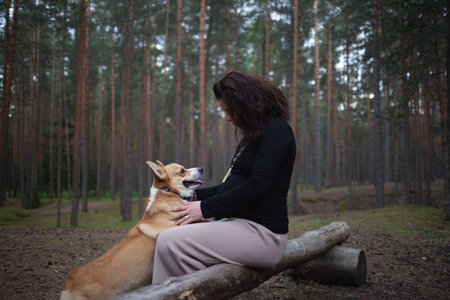 a pregnant woman sits on a log in the forest and plays with her corgi dogの写真素材
