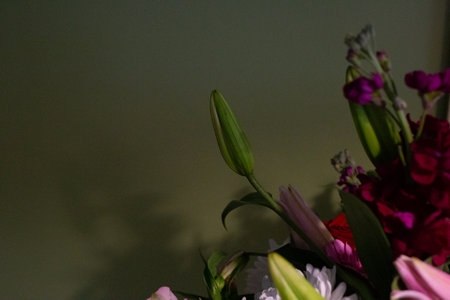 Still life. luxury spring flowers on a black background. color bloom. Low key photoの写真素材