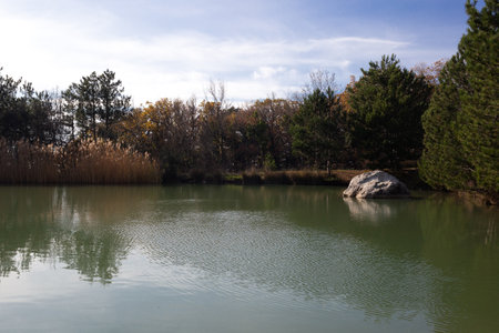 view of a mountain lake surrounded by bushes and trees in autumnの写真素材