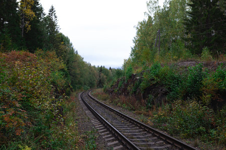 View of railway tracks with green tree in the forest. Travel and transportation concept.の写真素材