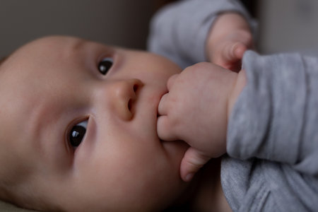 mixed race newborn baby lies wrapped in a grey muslin swaddle.の写真素材