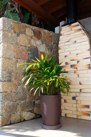 A green potted plant brightens up a cozy corner with brick and stone wallsの写真素材