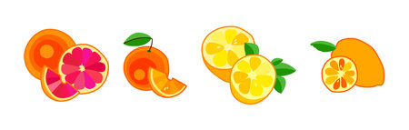 Pear grapefruit peach watermelon orange kiwi lemon dragon fruit mango strawberry on white background. vector illustration. Collection of fruit and berry icons. Citrus designのイラスト素材