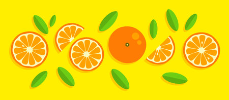 orange background. Orange tangerine grapefruit lemon lime on a yellow background. Vector illustration of summer fruits and citrus. Citrus icons and silhouettes. cute orangesのイラスト素材