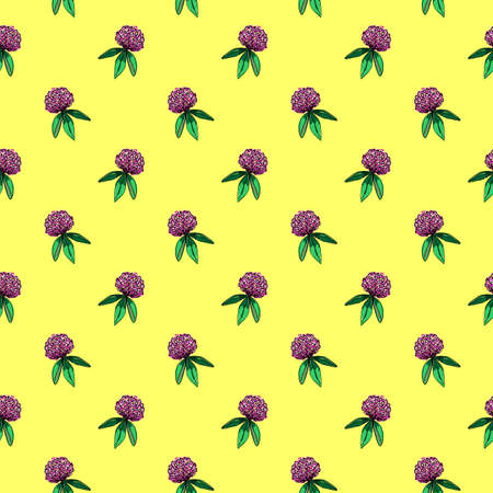 Seamless pattern of clover bud with leaves. Rose flower hand-drawn illustration. Botanical sketch of trefoilの写真素材