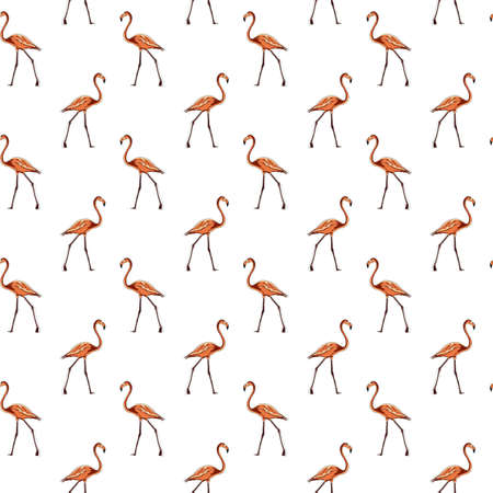Vector image of a full-length pink flamingo. Animalistic digital sketch. Animal drawn by hand on a white backgroundのイラスト素材