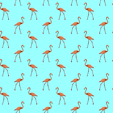 Image of a full-length pink flamingo. Animalistic digital sketch. Animal drawn by hand on a white backgroundの写真素材