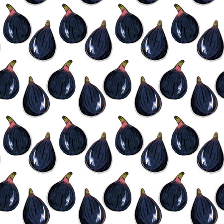Vector seamless pattern of figs. A quick food sketch of the fig tree harvest. Colored drawing of sweet healthy fruitsのイラスト素材