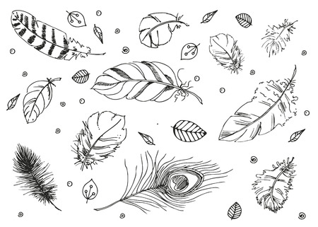 Hand drawn vector doodle Feathers. sketch for adult antistress coloring page, tattoo, poster, print, t-shirt, invitation, cards, banners, calendarsのイラスト素材