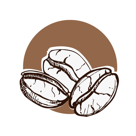 hand drawn ink coffee beans, sketch of coffee beans. vector eps 10のイラスト素材