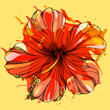 black and white floral ornament with hibiscus flower.のイラスト素材