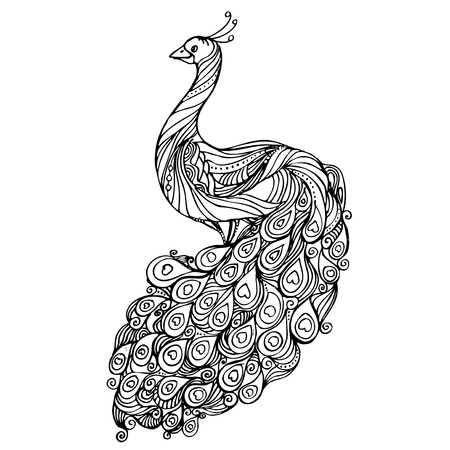 Vintage  pattern black and white doodle peacock. design. Sketchのイラスト素材