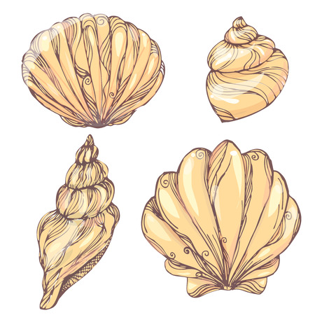 Vintage  pattern color doodle set of shells. sketchのイラスト素材