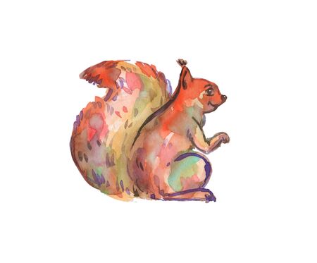 hand drawn watercolor squirrel. watercolour illustrationの写真素材
