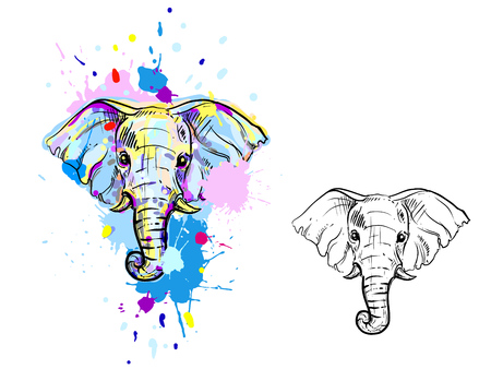 Hand drawn illustration with color and monochrome elephant. vector eps 8.のイラスト素材