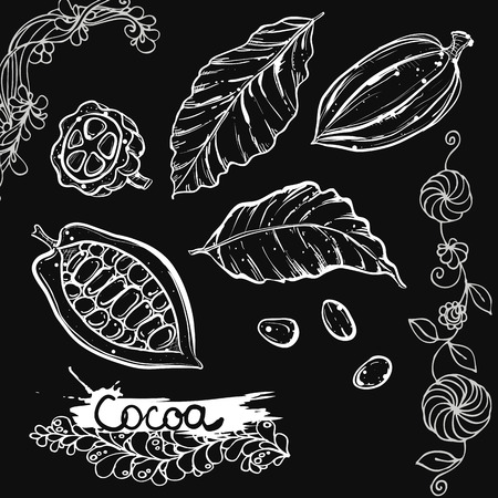 Hand drawn vector illustration set of monochrome cocoa, leaf, bean. sketch. Vector eps 8のイラスト素材