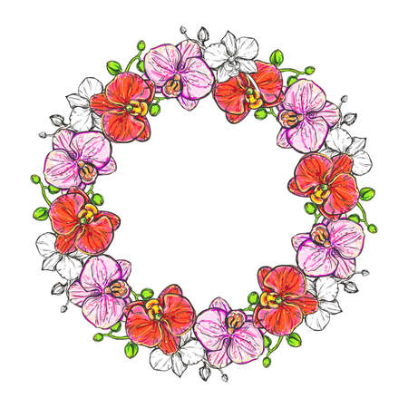 hand drawn illustrations wreath of color orchid on white background. sketch. vector eps 8.のイラスト素材