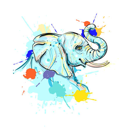 hand drawn illustration with color elephant. design for poster, print, t-shirt, flyers. sketch. vector eps 8.のイラスト素材