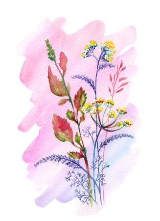 bouquet of wild flowers on the backgroundの写真素材