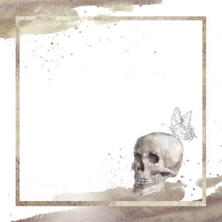 memento mori frame with skull and butterflyの写真素材