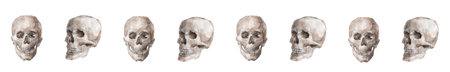 memento mori watercolor pattern of skullsの写真素材