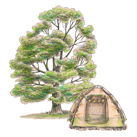 Tent in forest camping. an oak tree and tent. camping. hand-drawn illustration on a white background.の写真素材