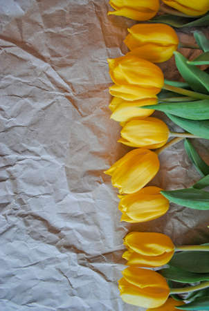 Yellow tulips on a beige piece of cardboardの写真素材